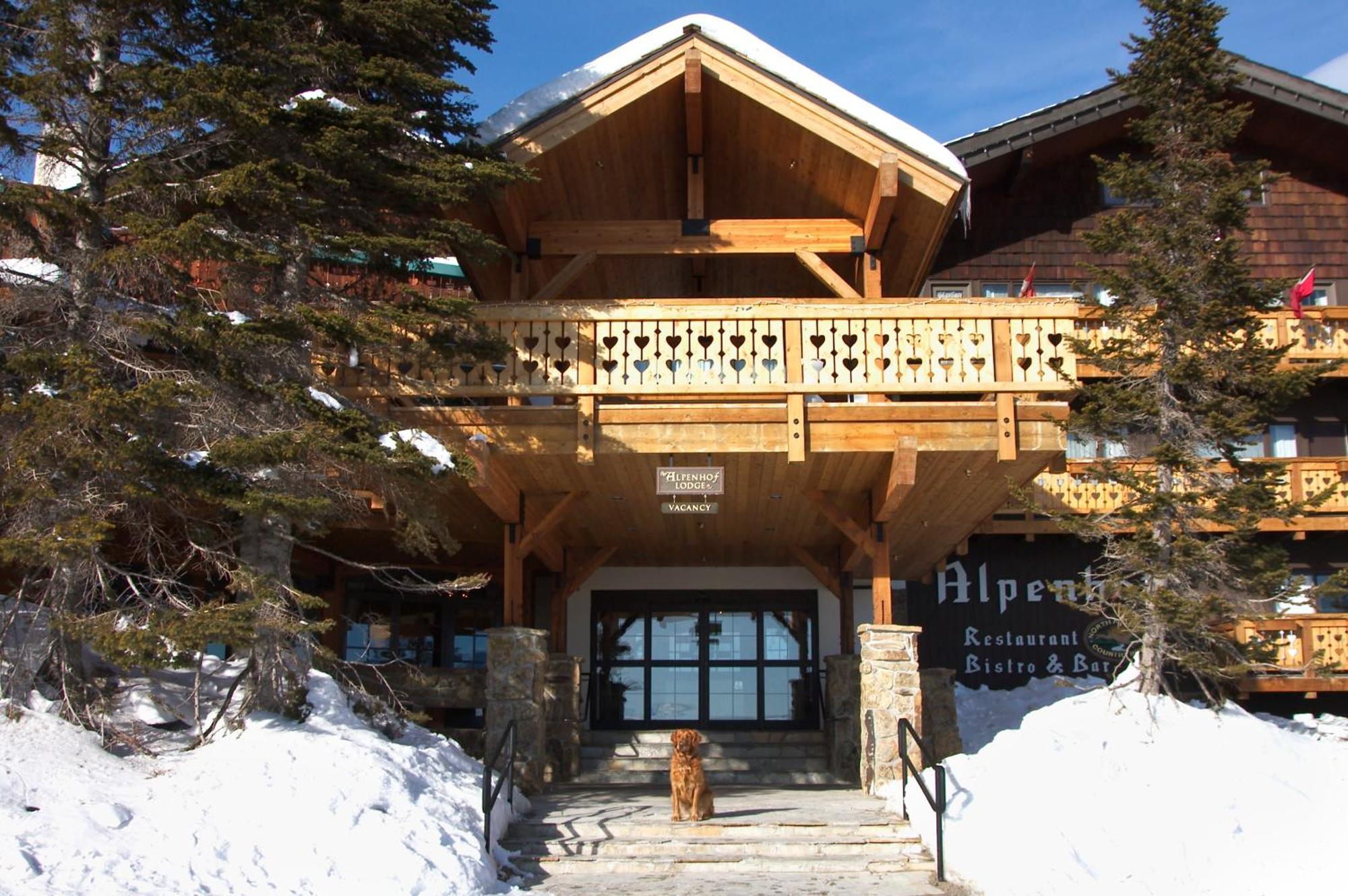 The Alpenhof Teton Village Exterior foto